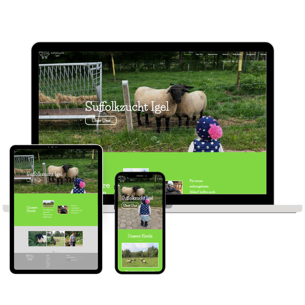 Suffolkzucht - Sheep breeder website